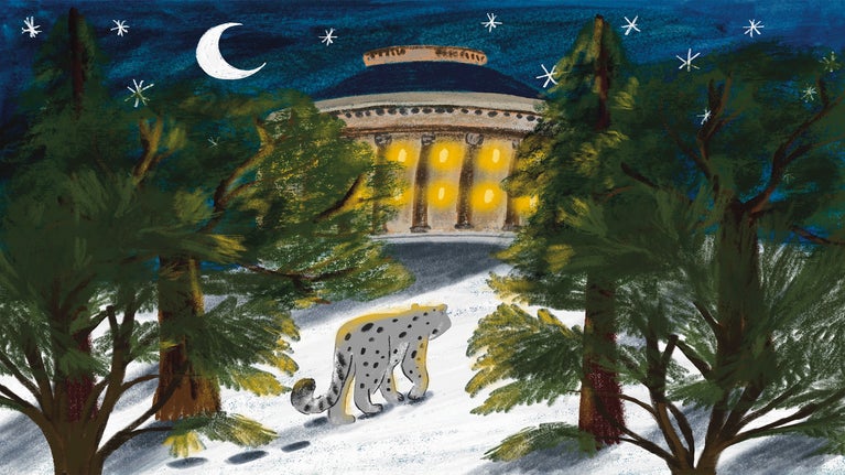 a wintery night scene drawing of a snow leopard walking in the snow towards the lit rotunda. There are pine/cedar trees on either side of the image